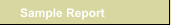 Sample Report